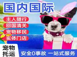 乌鲁木齐机场空运国际宠物托运 【国